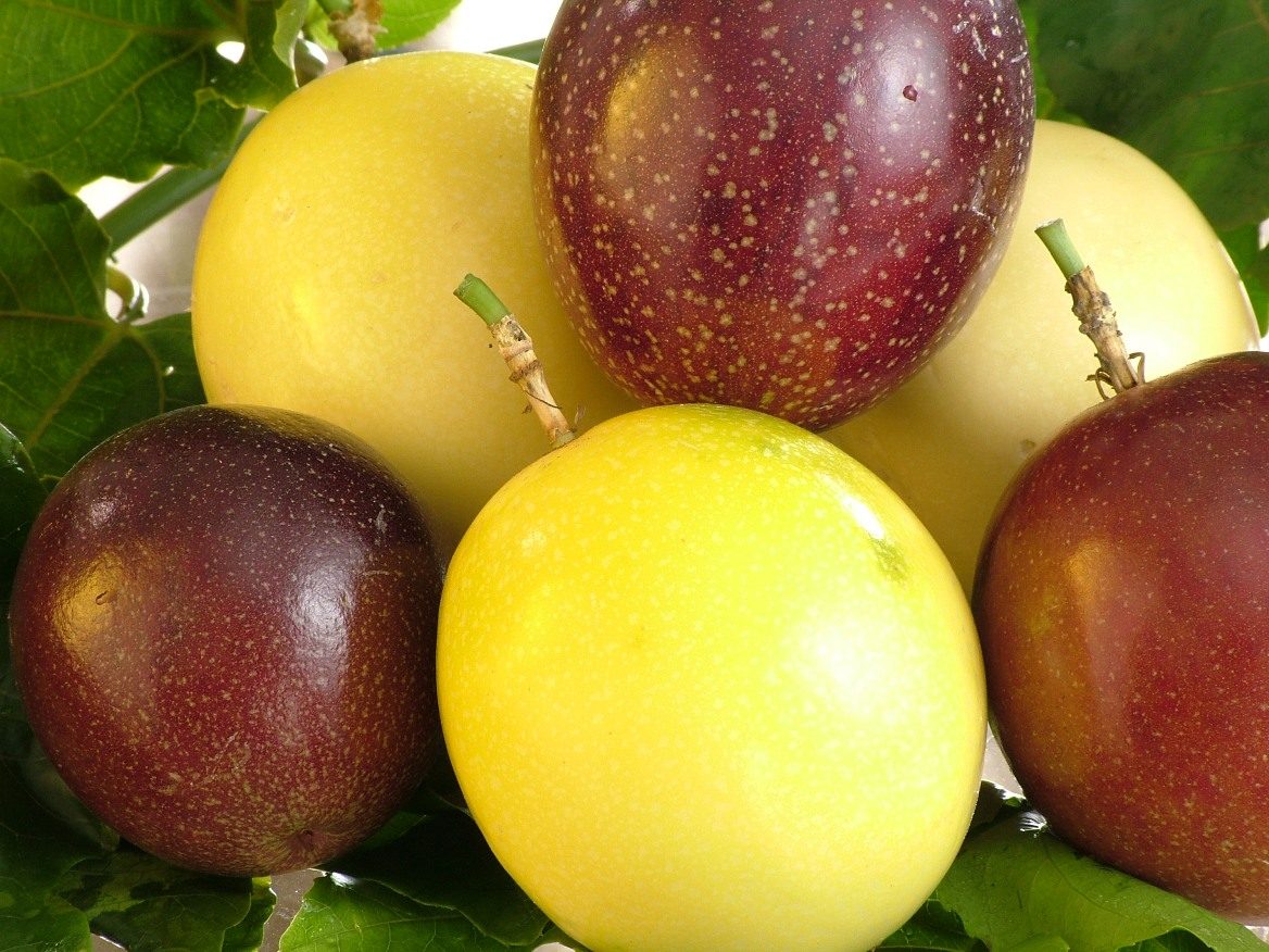 Frutos FB300 Araguari